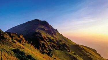 Single Origin Coffee & Beans