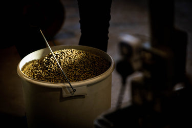 Green Coffee