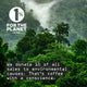 A promotional graphic with a misty green forest background and text reading '1% FOR THE PLANET MEMBER' and 'We donate 1% of all sales to environmental causes. That's coffee with a conscience.