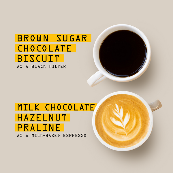 Two white cups of coffee on a beige background with text labels: a black cup labeled 'Brown Sugar Chocolate Biscuit' and a latte cup labeled 'Milk Chocolate Hazelnut Praline'.
