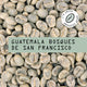 Guatemala Bosques de San Francisco Green Coffee