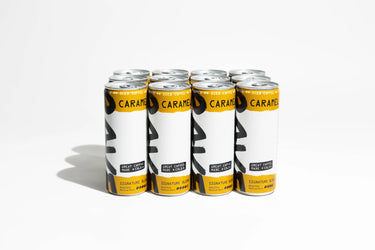Iced Coffee Cans - Pack of 12
