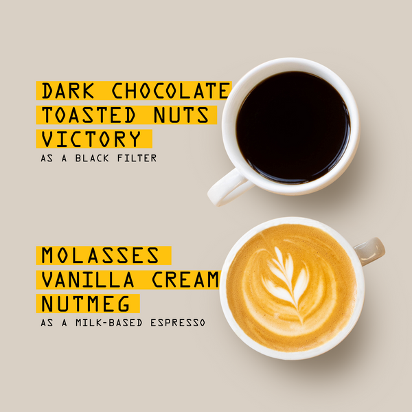 Two white cups of coffee on a beige background with bold yellow text labels. The top cup contains black coffee and is labeled 'DARK CHOCOLATE, TOASTED NUTS, VICTORY' as a black filter coffee. And the bottom coffee labeled' MOLASSES, VANILLA CREAM, NUTMEG'. As a Milk-based espresso