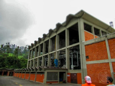 Colombia El Carmen Sugarcane Decaf Nº 77