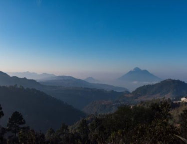 Guatemala Bosques de San Francisco Nº 52